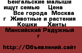 Бенгальские малыши ищут семью) › Цена ­ 5 500 - Все города, Москва г. Животные и растения » Кошки   . Ханты-Мансийский,Радужный г.